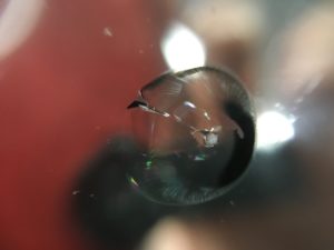 スイフトスポーツのフロントガラス修理