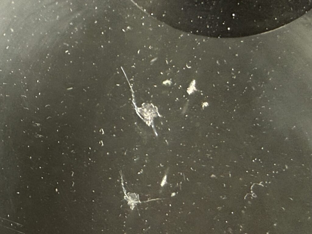 ステップワゴンのフロントガラスの飛び石ヒビをウインドリペア