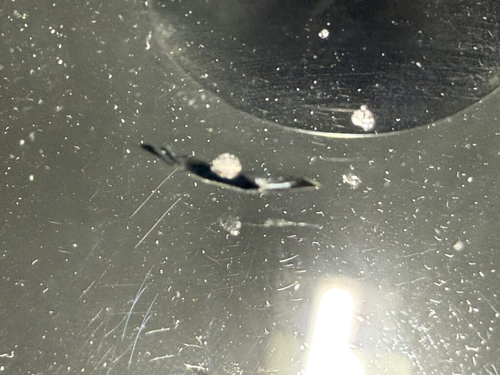 ヴォクシーのフロントガラスの飛び石ヒビをウインドリペア