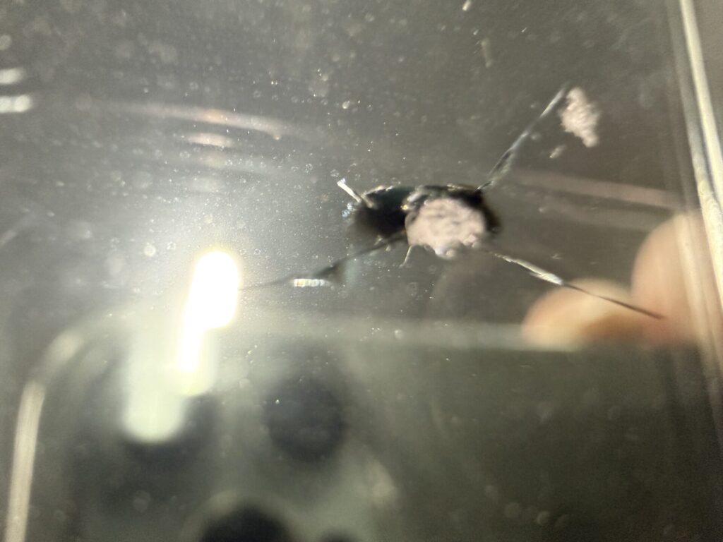 BRZフロントガラスの飛び石ヒビをウインドリペア