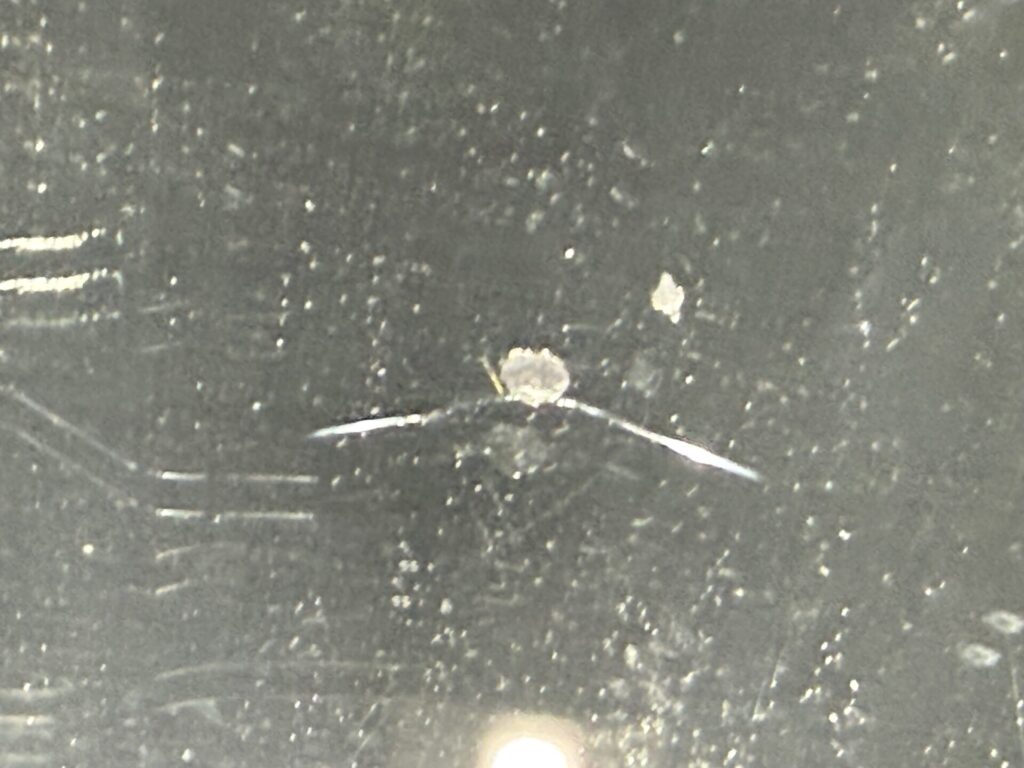 BRZフロントガラスの飛び石ヒビをウインドリペア